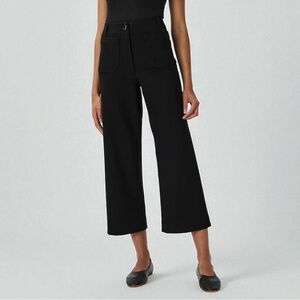 Quince Ultra-Stretch Ponte Cropped Wide Leg Pants | Size 4 | Black ✨